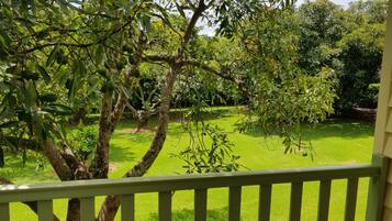 Una terraza de madera con barandilla verde que da a un césped y árboles bien cuidados.