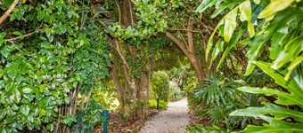 Camelot Boutique Accommodations