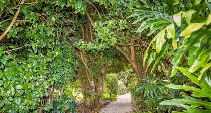 Camelot Boutique Accommodations