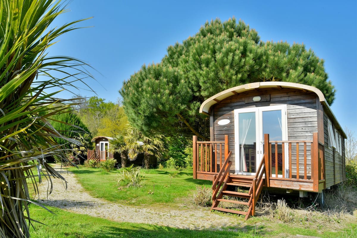 Une cabane en bois dotée d’un porche, entourée d’une végétation luxuriante et d’un grand arbre.