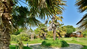 Un exuberante jardín con palmeras, un camino de grava y una cabaña de madera.