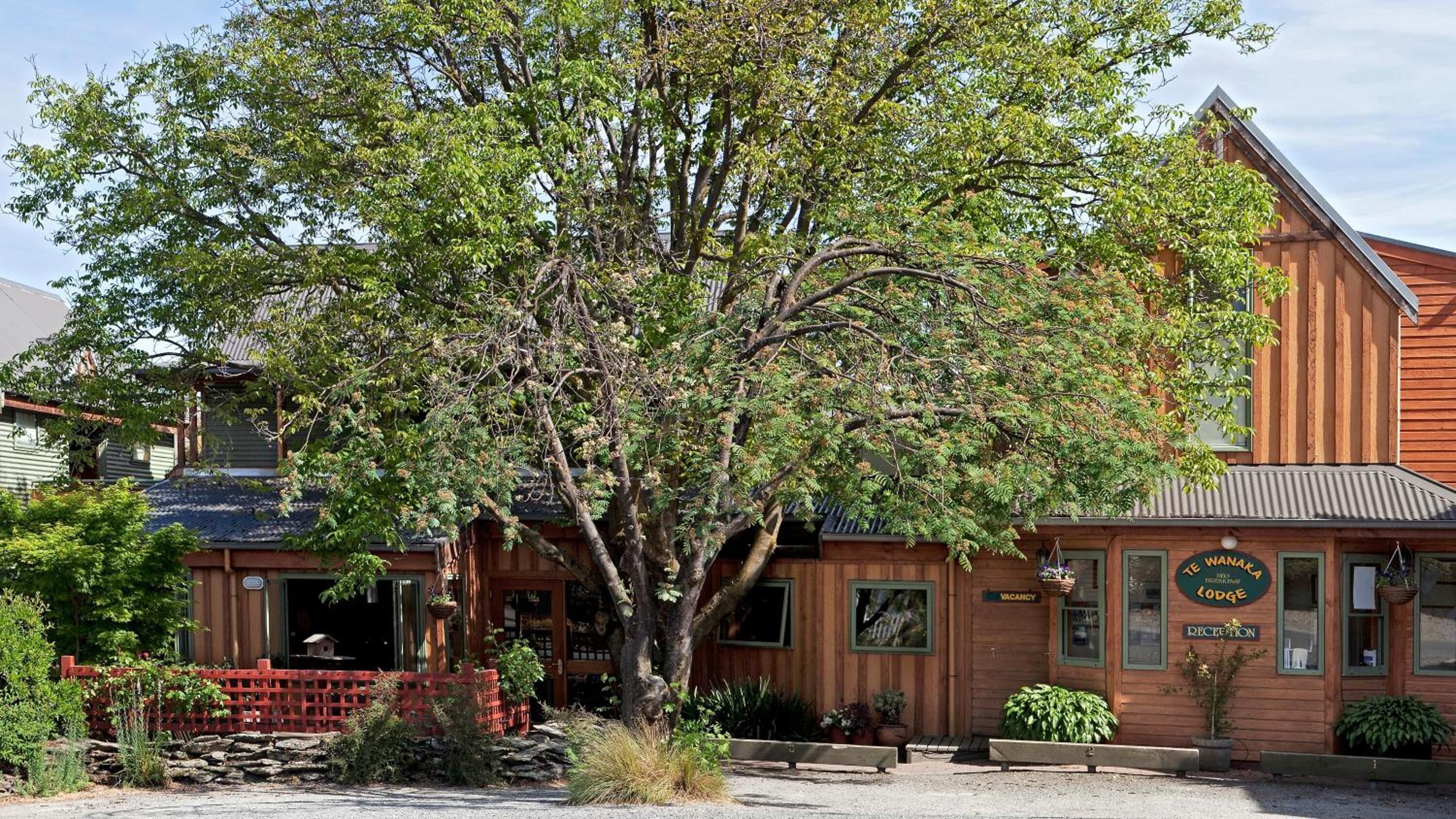 A wooden lodge with a large tree in front, a red fence, and a sign indicating a vacancy.