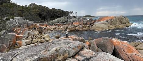 A rocky coastal landscape with large boulders and a person standing on a rock.