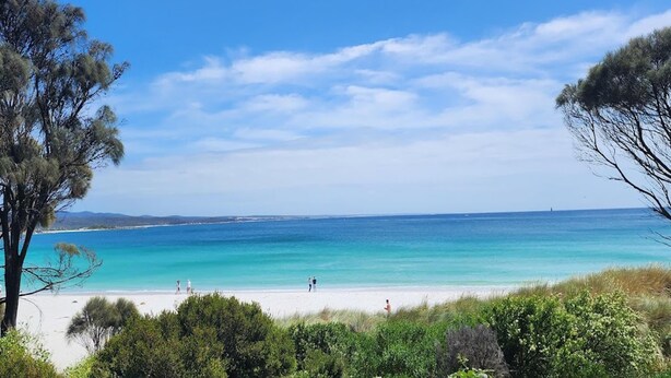 Una playa con agua turquesa cristalina, arena blanca y vegetación escasa.