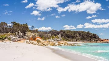 Beach nearby, white sand