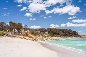 Playa en los alrededores y playa de arena blanca 