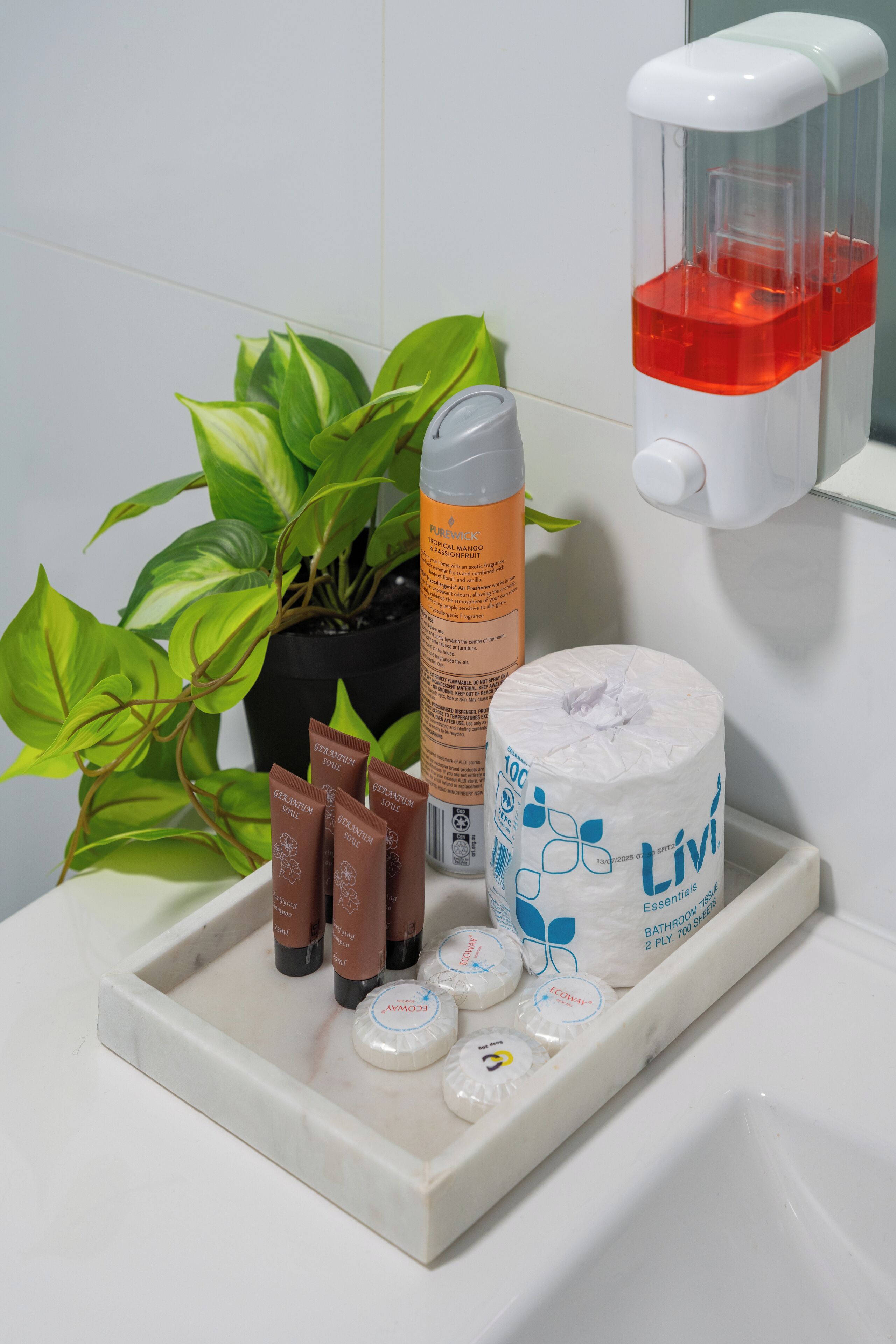 A bathroom shelf with toiletries, a toilet paper roll, and a soap dispenser.