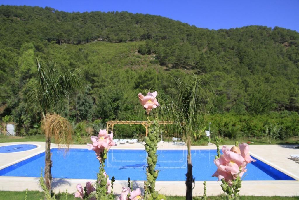 seasonal outdoor pool, open 10:00 am to 7:30 pm, pool umbrellas