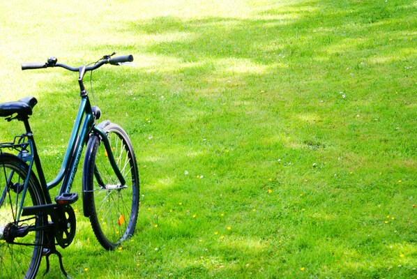 A bicycle parked on a grassy area. - Das Wolfshotel am Arendsee (Arendsee)