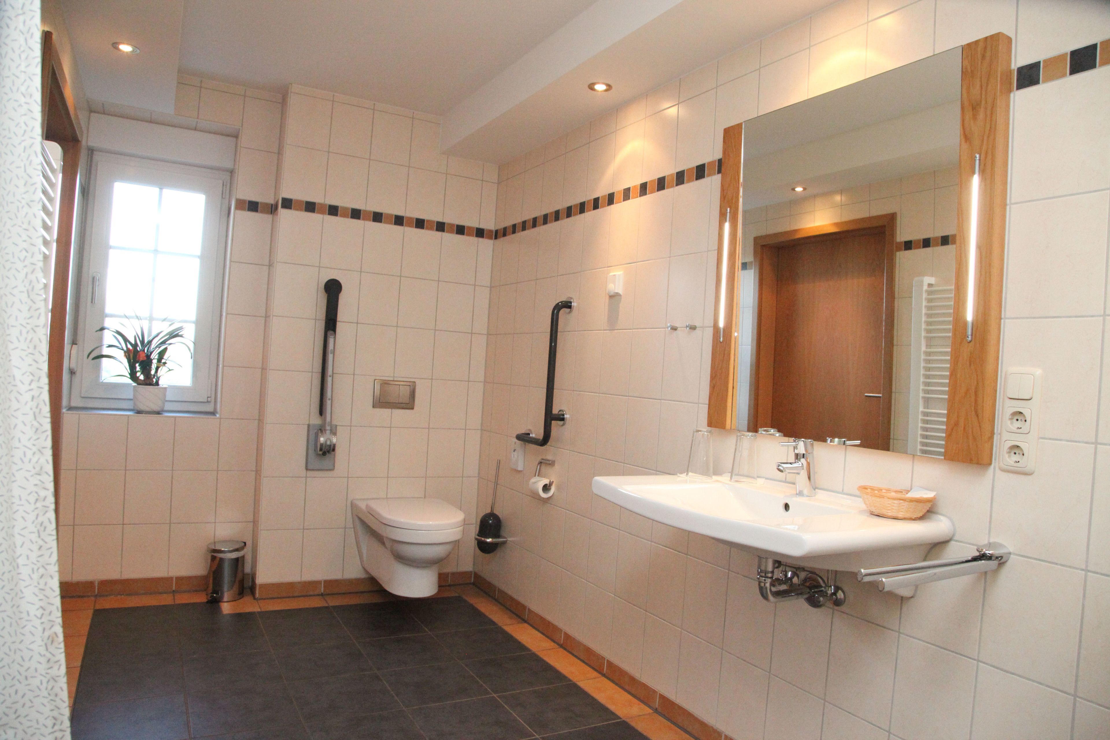 Un baño con inodoro, lavabo, espejo y ducha.
