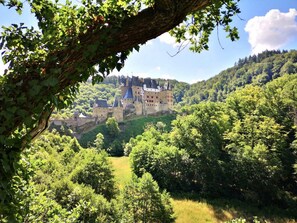 A castle surrounded by lush greenery.