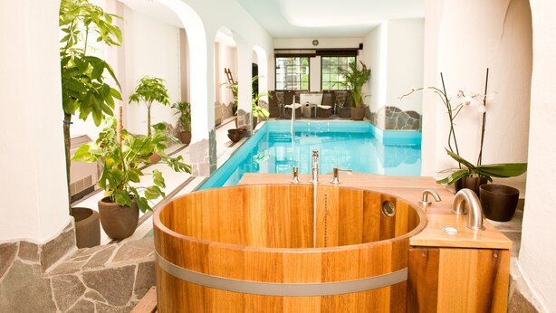 Un espace bien-être comprenant un bain à remous en bois, une piscine et des plantes en pot.