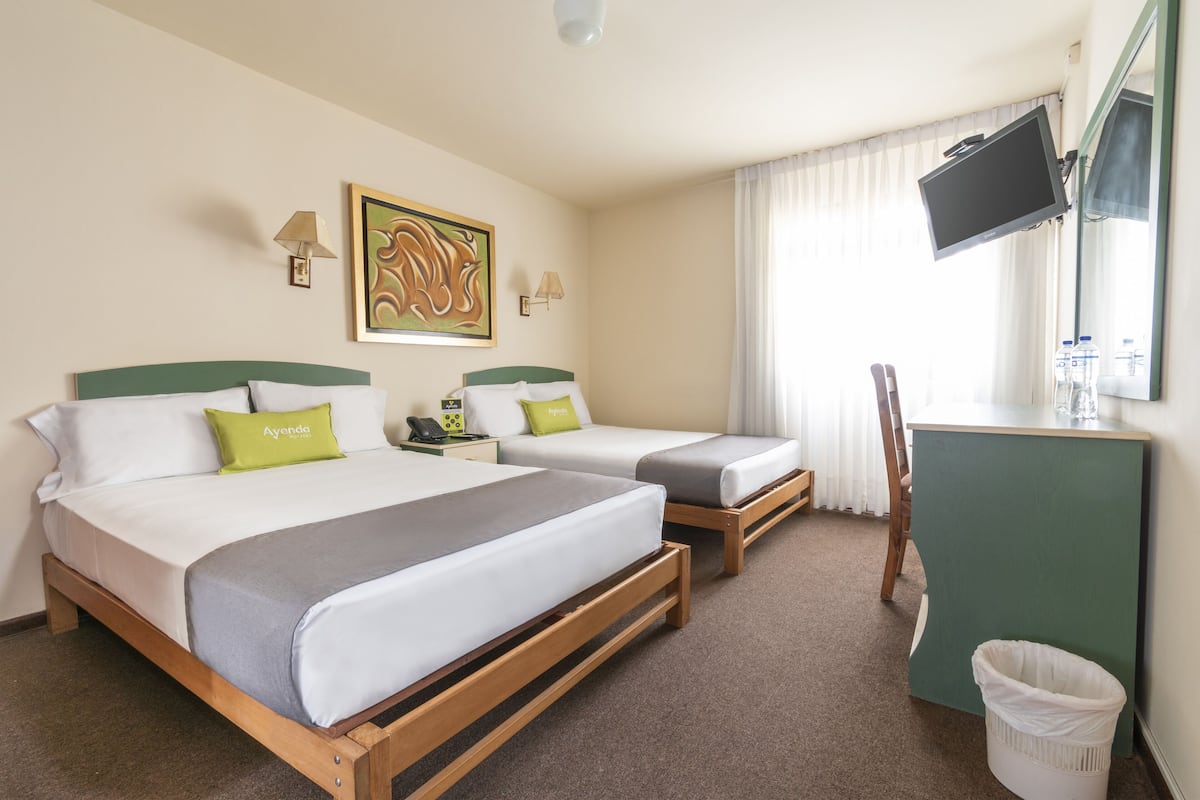 A hotel room with two beds, a desk, a chair, a TV, and a trash bin.
