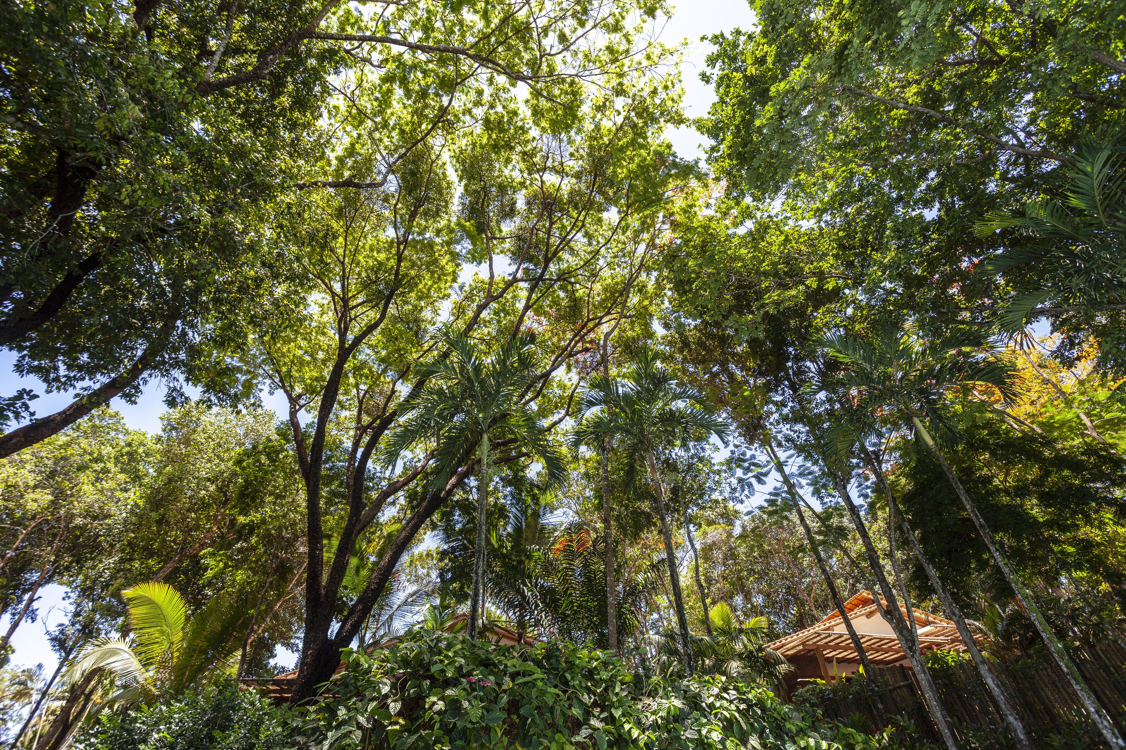 vila afin | view from room