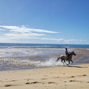 Horse riding