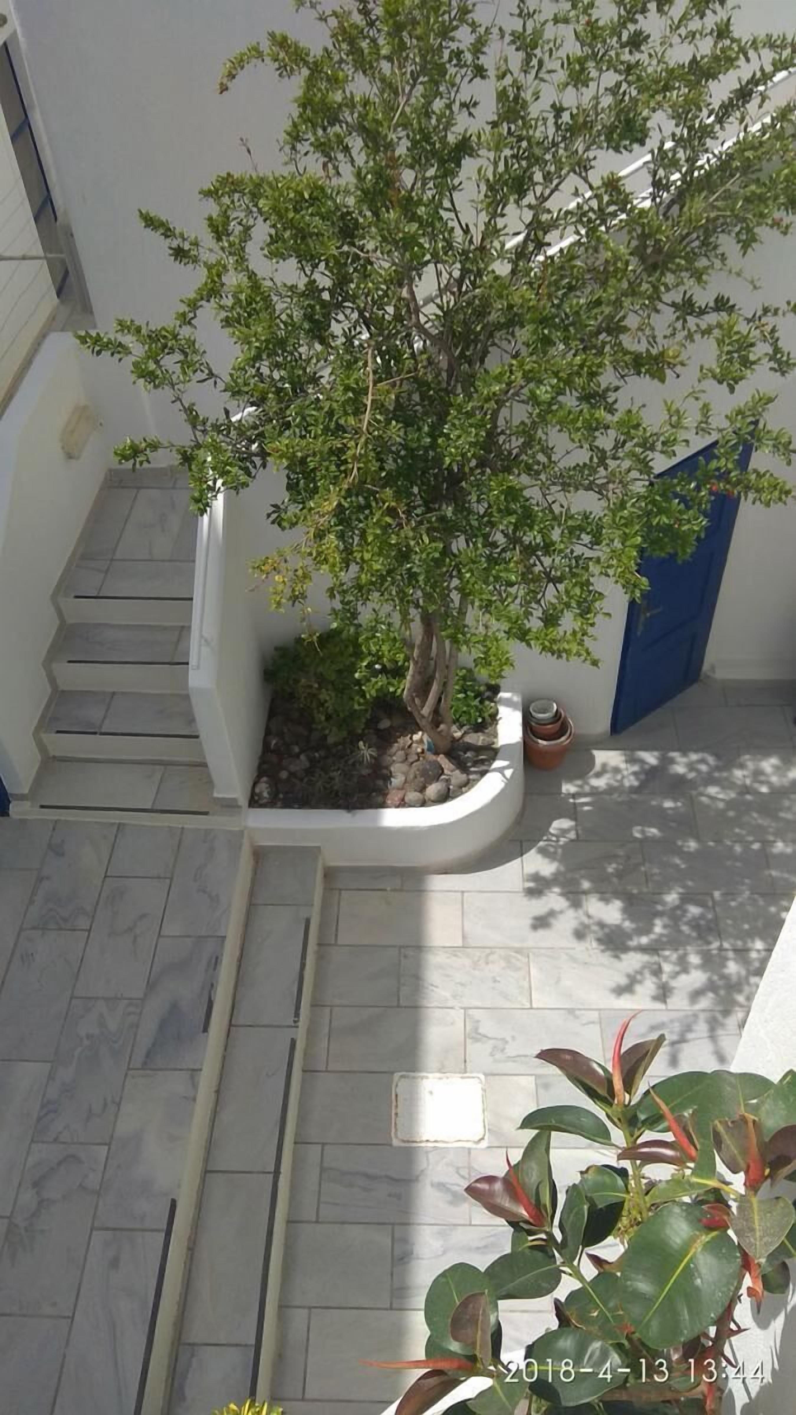 Photo - Olympic Villas