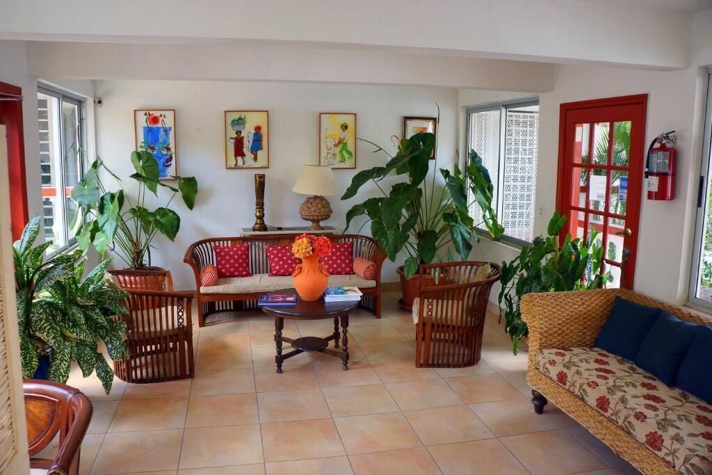 Una sala de estar con sofá, sillas, una mesa de centro y plantas grandes en macetas.