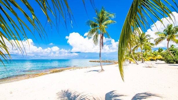 A beach with white sand, palm trees, and clear blue water. - The Grandview Condos on Seven Mile Beach (Seven Mile Beach)