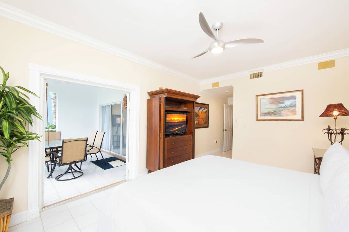 A hotel room with a bed, a TV on a wooden cabinet, a ceiling fan, a dining area with chairs and a table, and a plant.