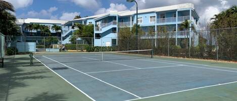 An outdoor tennis court with a net, surrounded by a fence and palm trees.