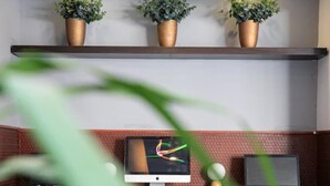 A room with a desk, an Apple iMac, a laptop, and three potted plants on a shelf. - Urbano Hotel (Montevideo)