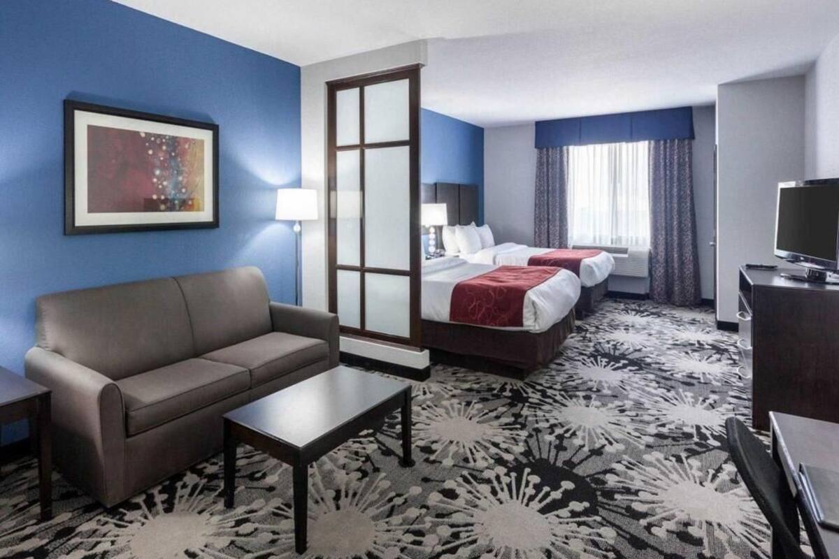 Une chambre d’hôtel avec un canapé, un lit avec deux oreillers, une télévision et une moquette à motifs.