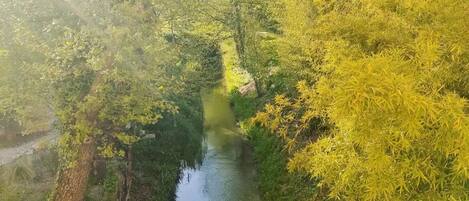 A river flowing through a lush, green landscape with dense foliage on both sides.