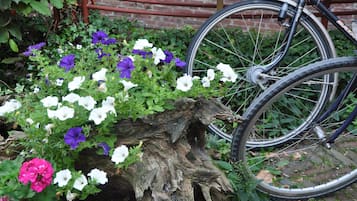 Biciclette