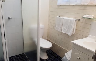 Chuveiro, secador de cabelo, toalhas de banho