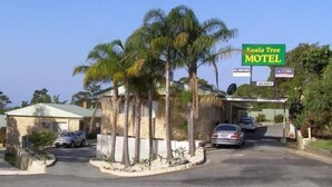 Un motel avec une enseigne indiquant « Koala Tree Motel » et une autre pour « Austar ».