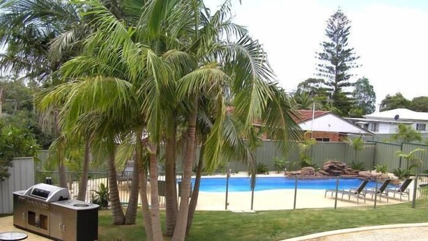 Un jardin avec une piscine, des palmiers, un espace barbecue et une cour clôturée.