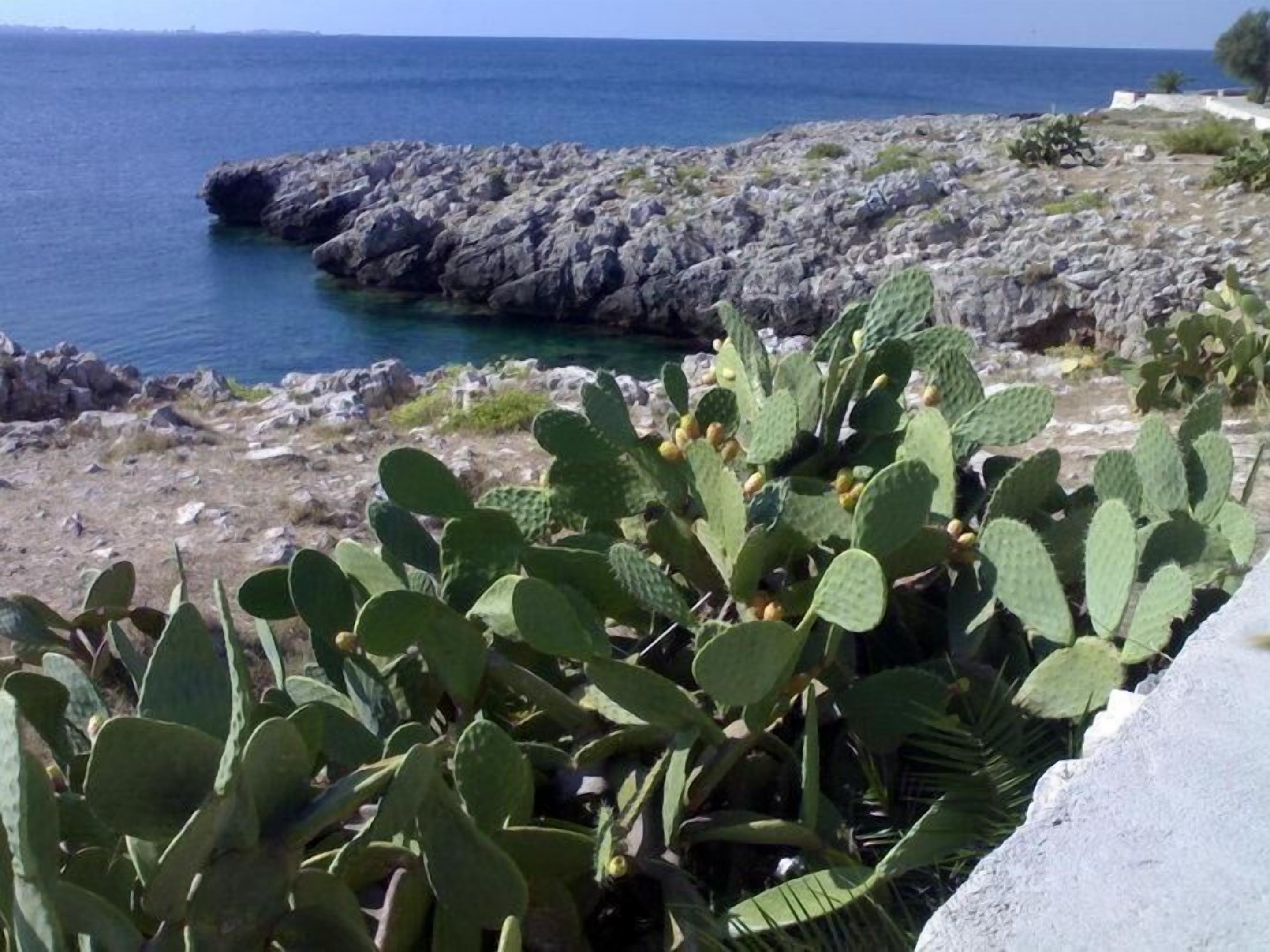 海滩
