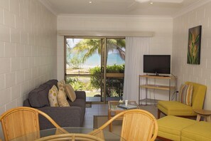 Televisio, DVD-soitin