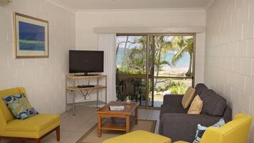 Televisio, DVD-soitin