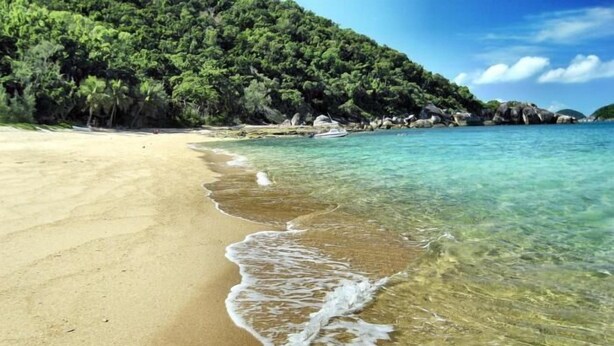 A beach with clear water, a sandy shore, and a forested hill in the background. - Apollo Jewel Beachfront Apartments (South Mission Beach)