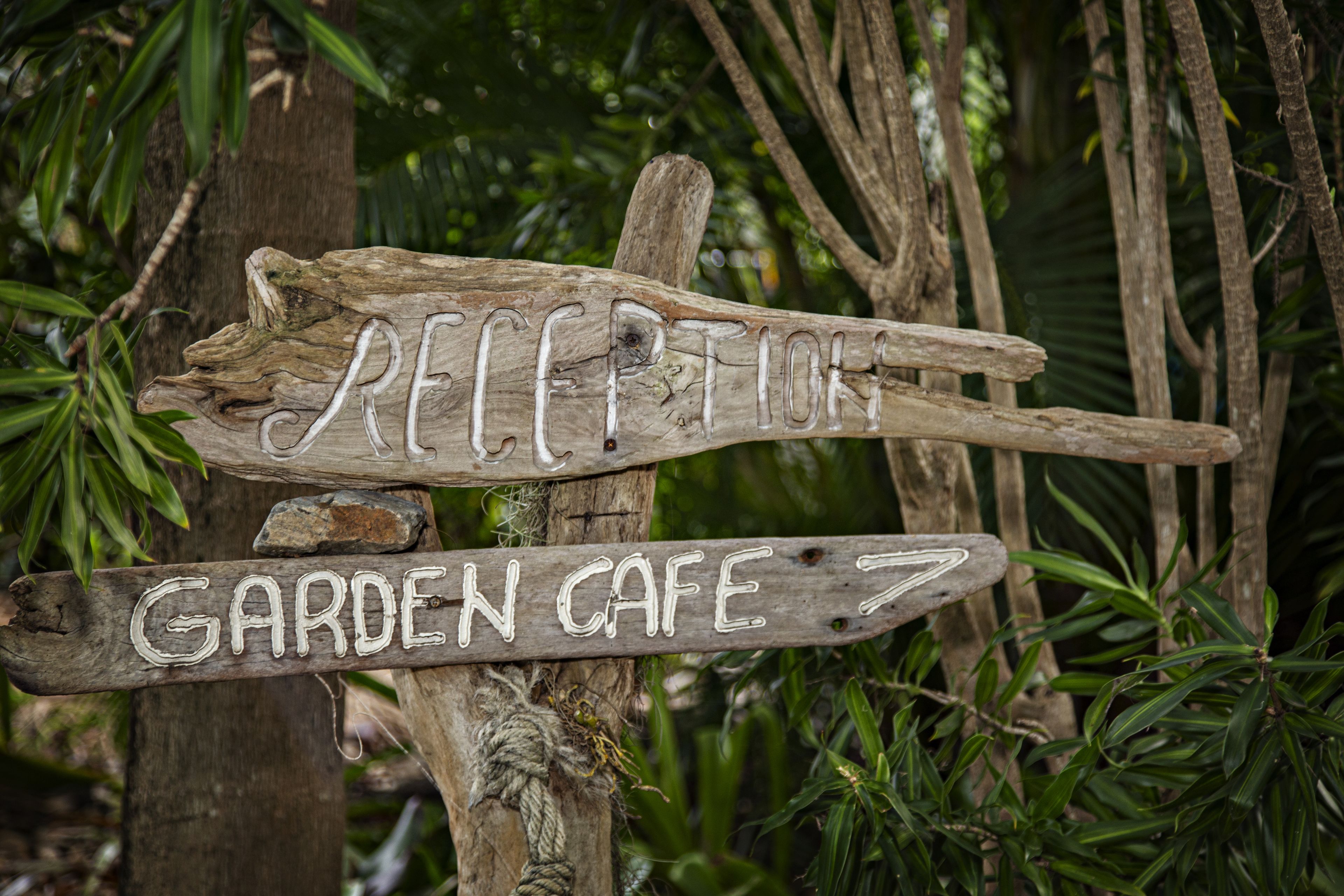 A wooden signpost with 'RECEPTION' and 'GARDEN CAFE' directions.
