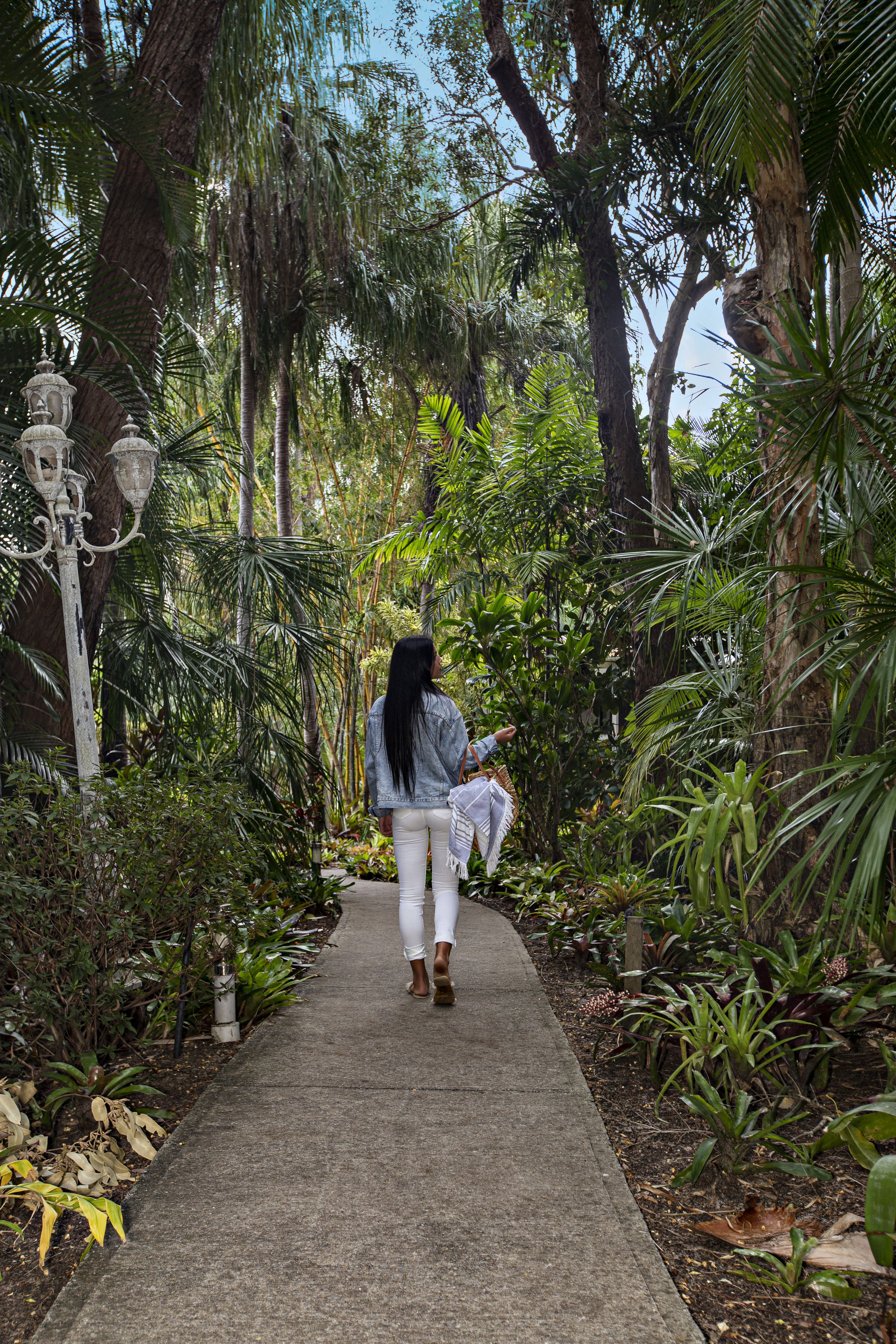 Un sendero serpentea por un jardín exuberante, con árboles altos y diversas plantas.