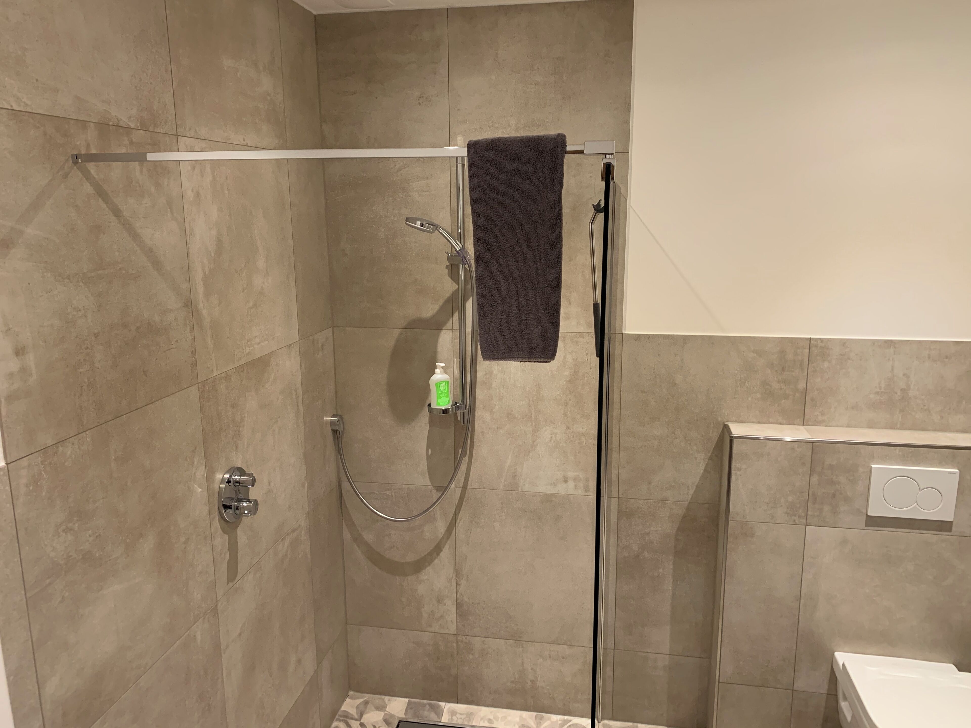 Douchegedeelte met een glazen deur, een handdouche en een shampoofles.