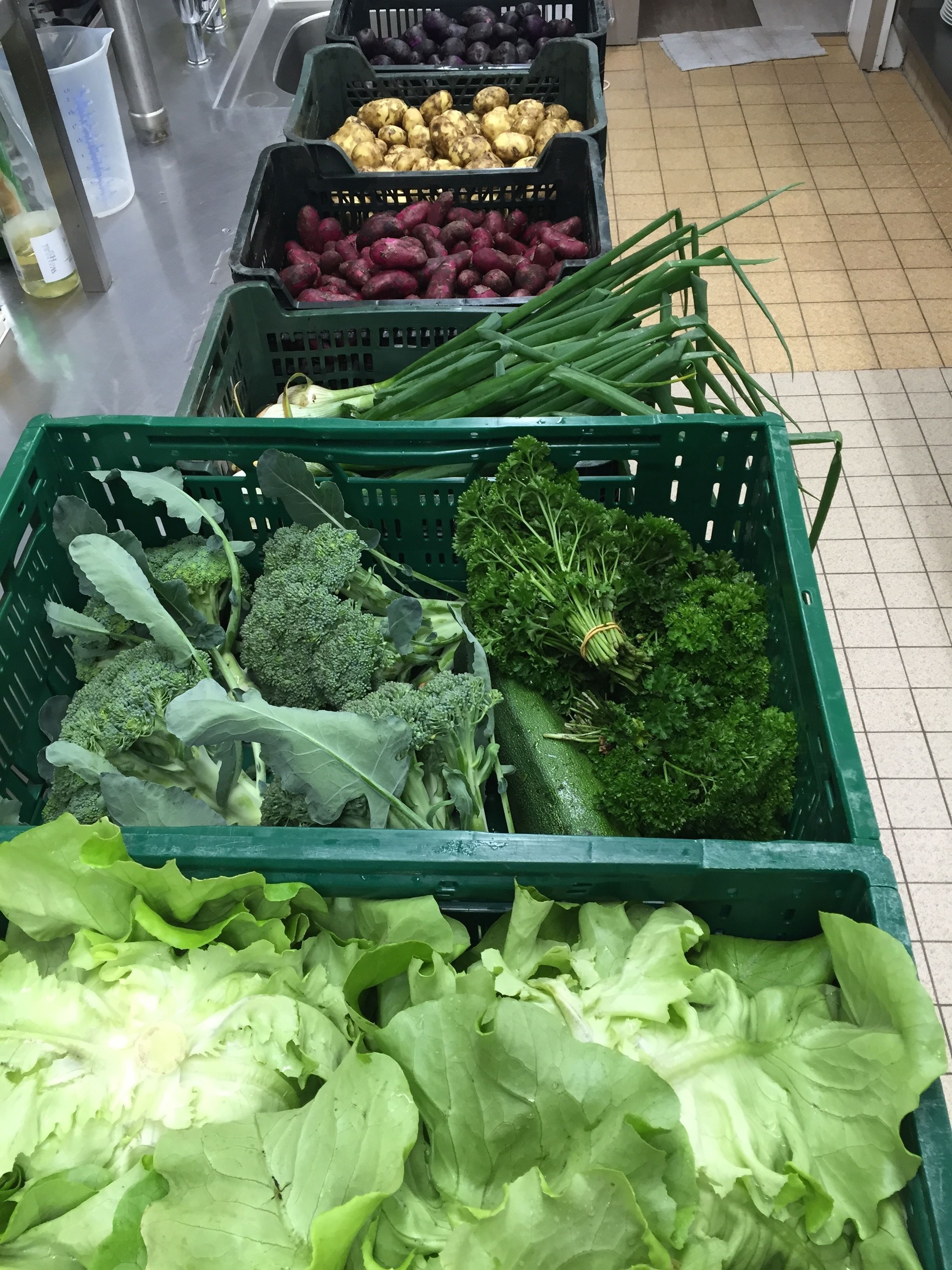 A variety of fresh vegetables in green crates, including broccoli, lettuce, and purple potatoes.