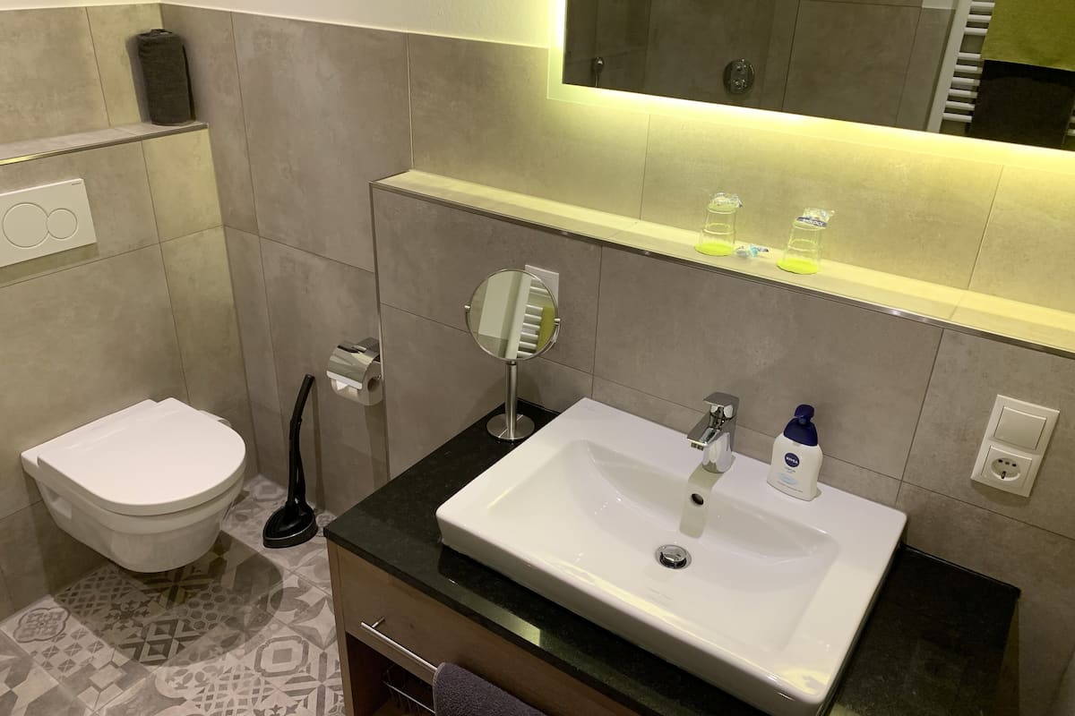 shower, free toiletries, hair dryer, slippers