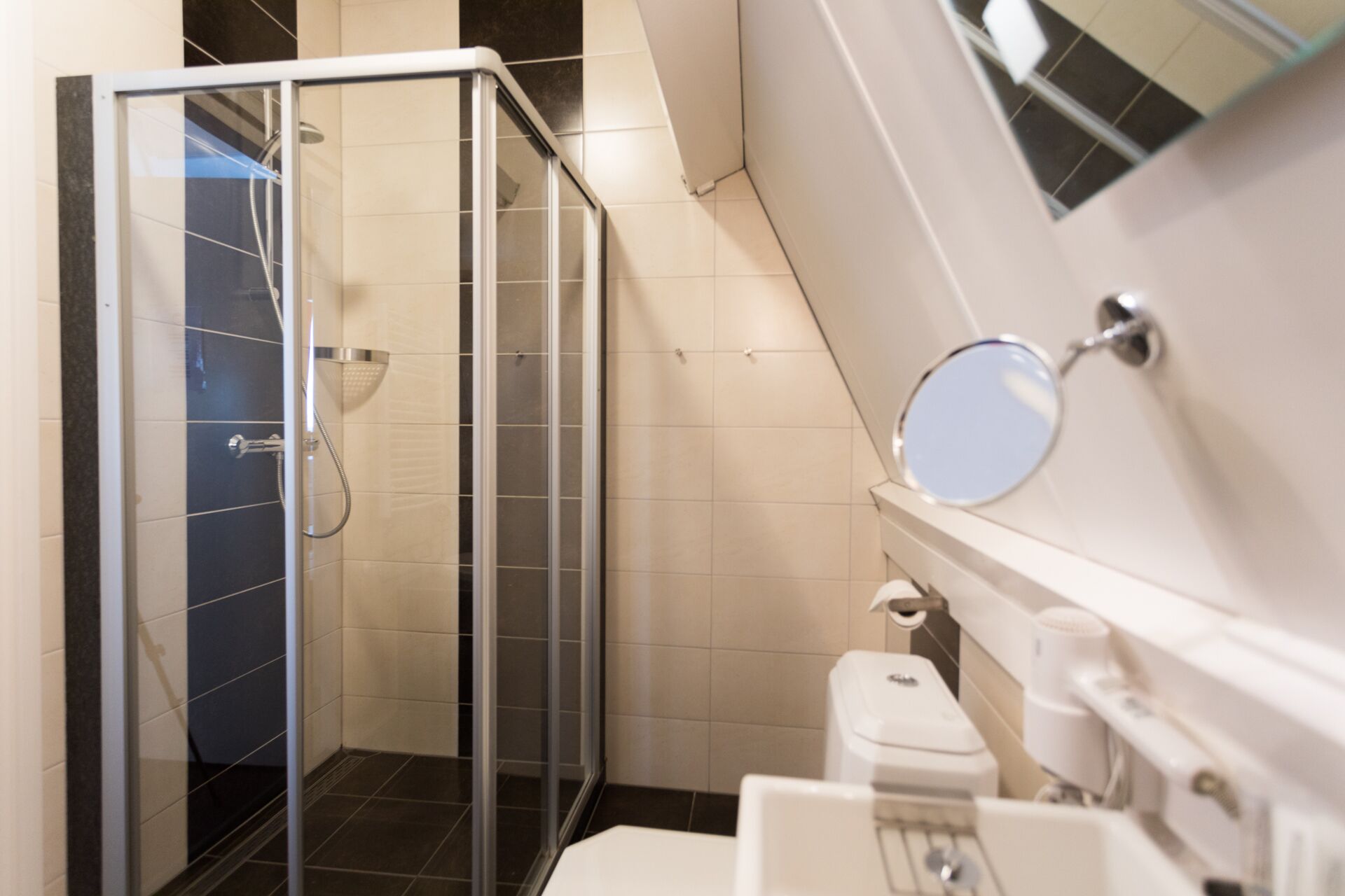 A modern bathroom with a glass shower enclosure, a toilet, and a sink with a mirror.