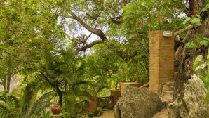 Un chemin de pierres serpente à travers un jardin luxuriant, parsemé de gros rochers et agrémenté de plantes en pot.