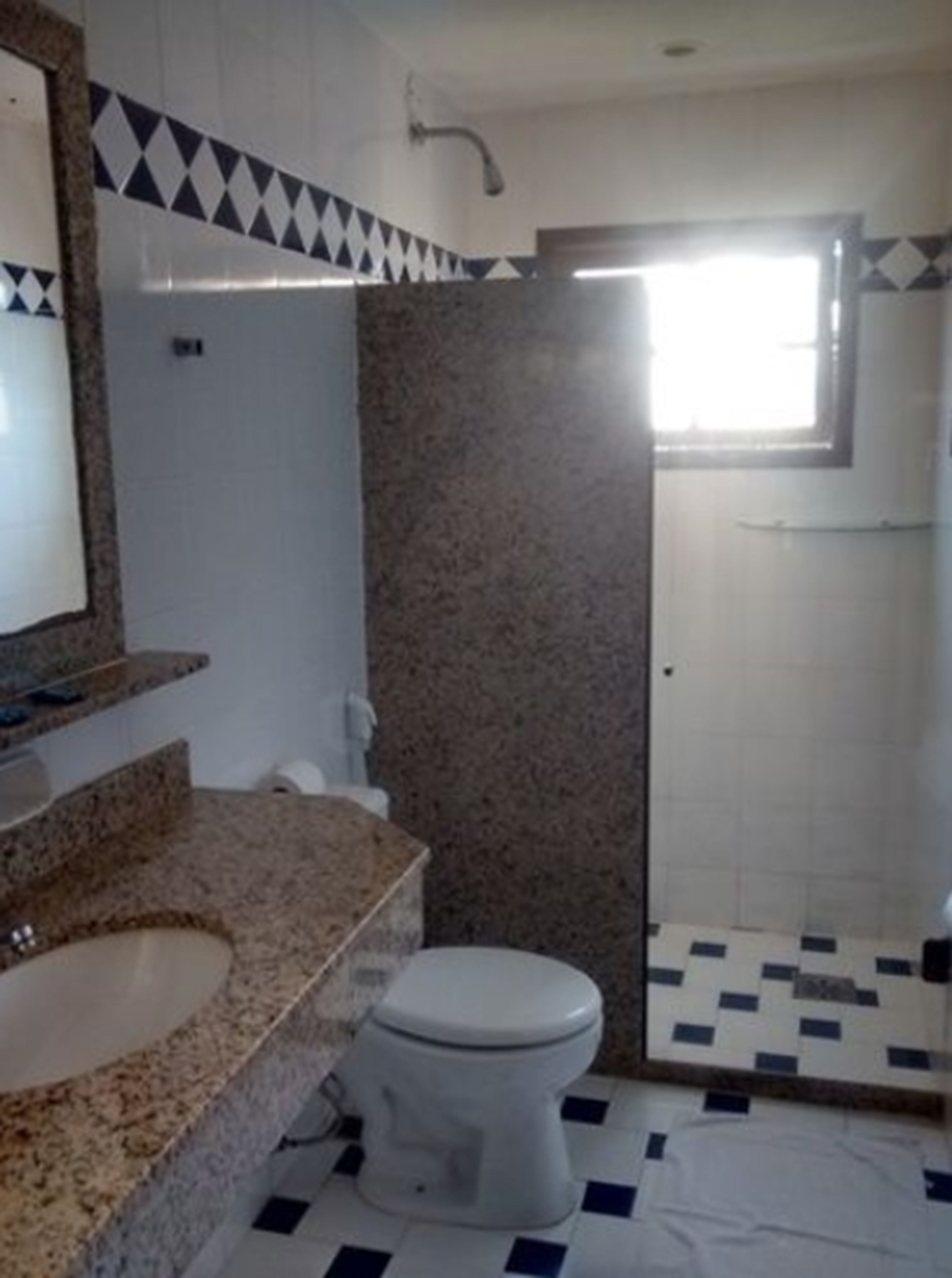A bathroom with a white toilet, granite countertop, and a shower area.