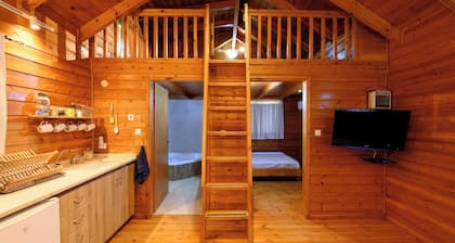 Belfer's Dead Sea cabins- Apartments