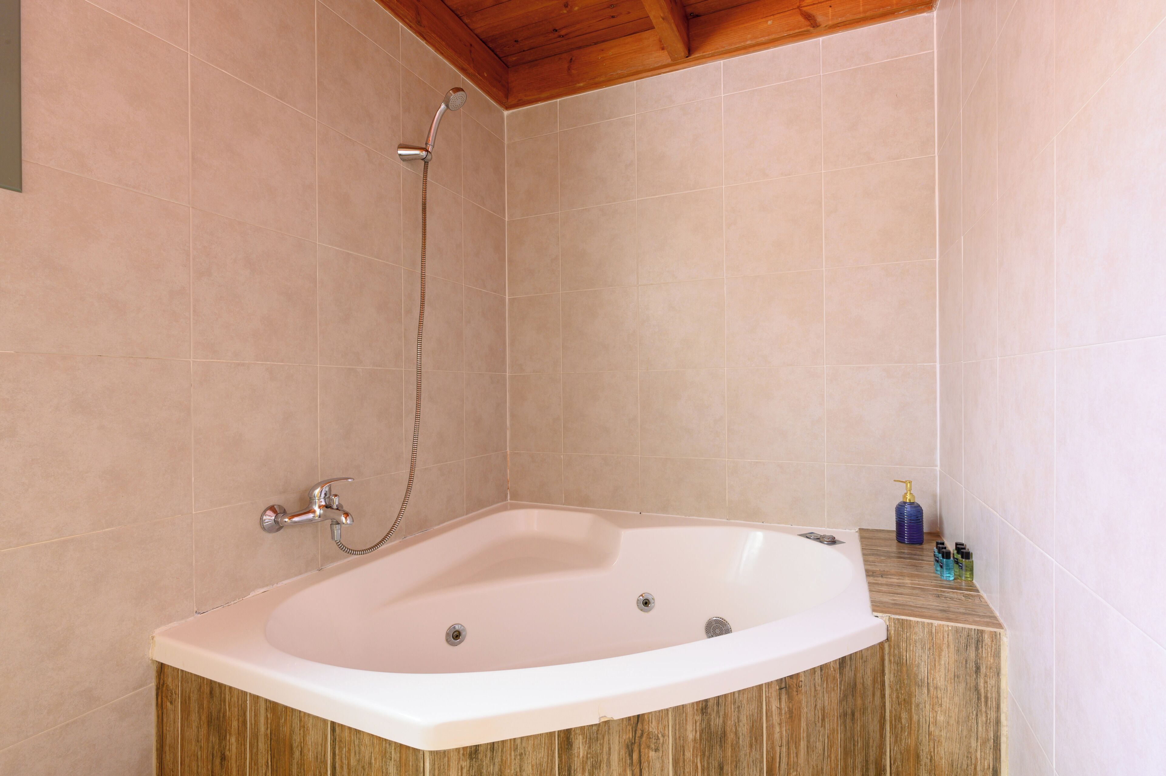 Combined shower/bathtub, jetted bath, hair dryer, bathrobes