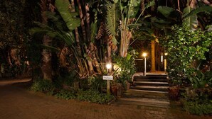 A pathway leading to a building labeled 'Treehouse' surrounded by lush tropical vegetation.