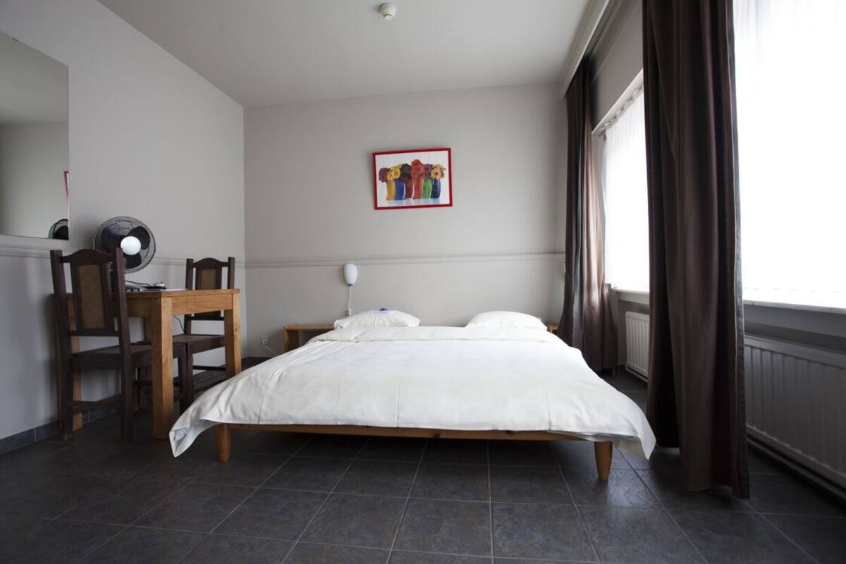 Habitación doble clásica de uso individual | Caja de seguridad en la habitación y escritorio