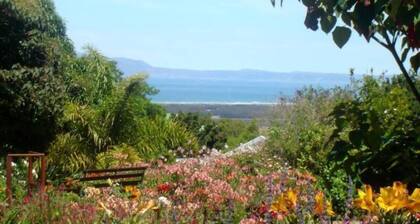 Mooring House Guest Lodge