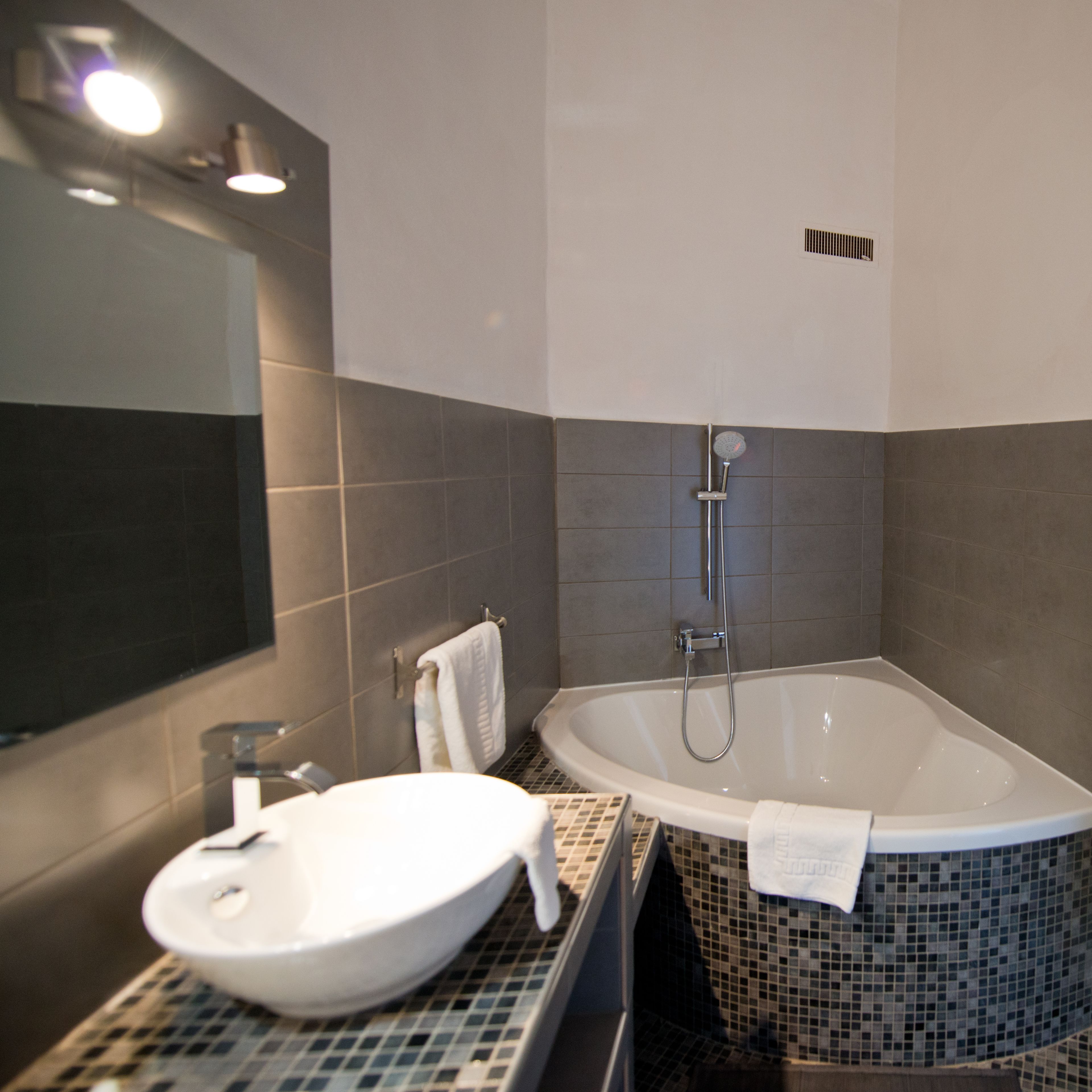 combined shower/bathtub, free toiletries, hair dryer, bathrobes