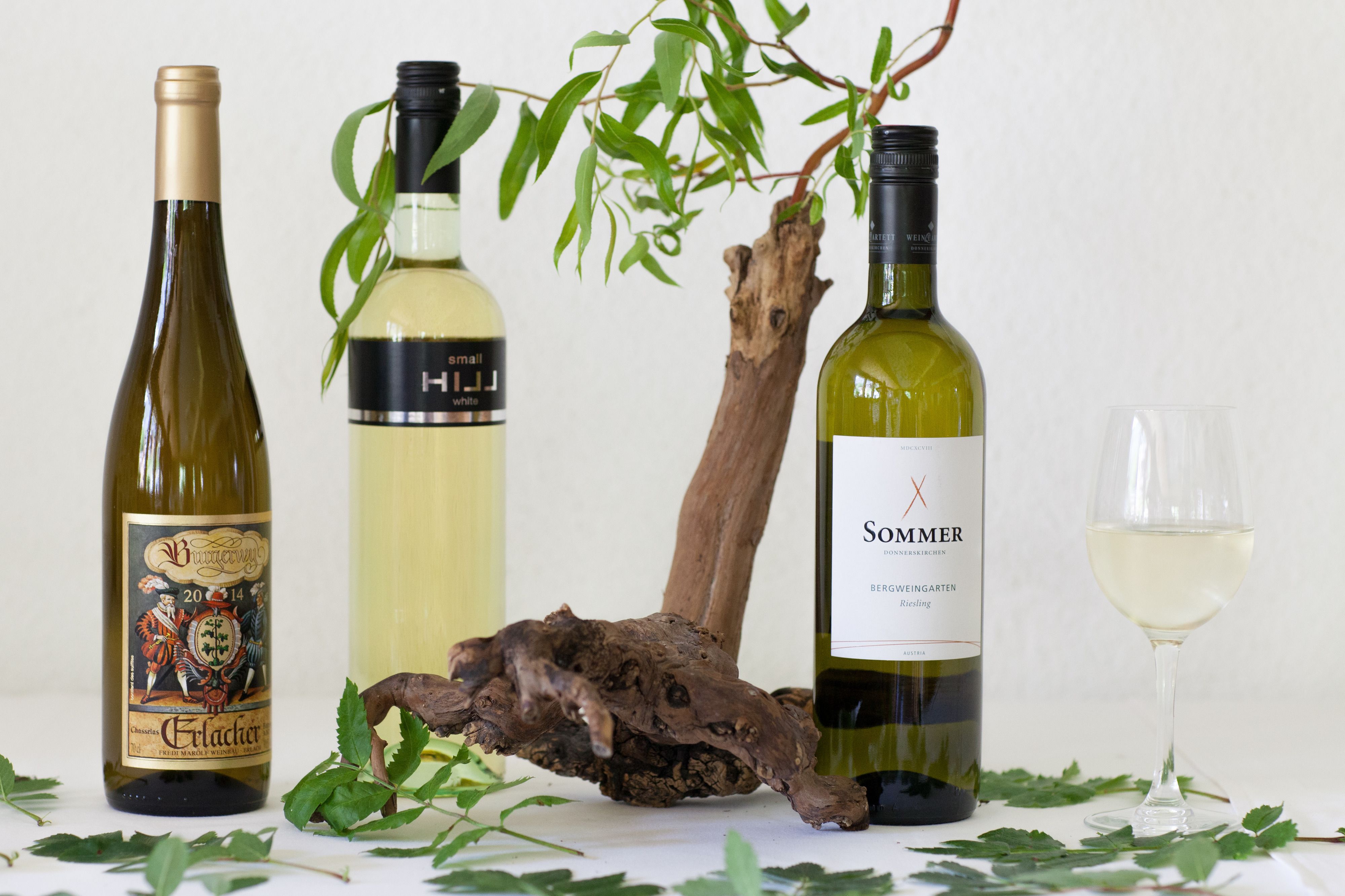 Three wine bottles and a glass of white wine on a table with a branch and leaves.